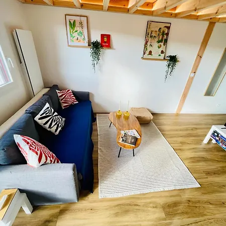 Apartment En Famille, A Pied Et Face A La Dune ! *